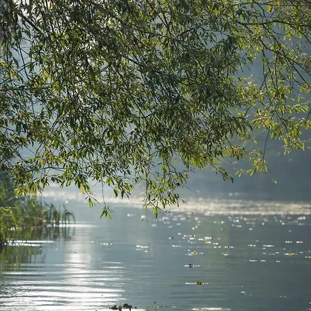 Spreewaldferienhaus - Urlaub דירה לובן