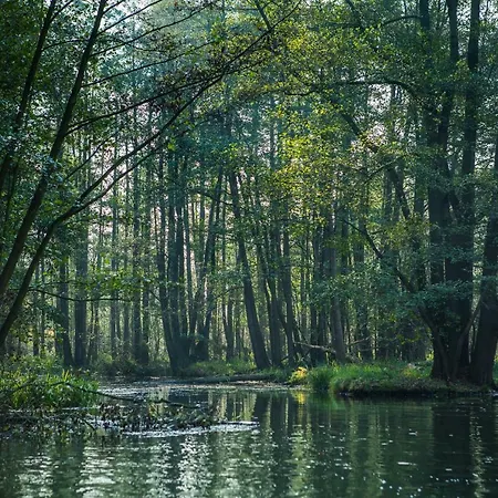 Spreewaldferienhaus - Urlaub דירה *