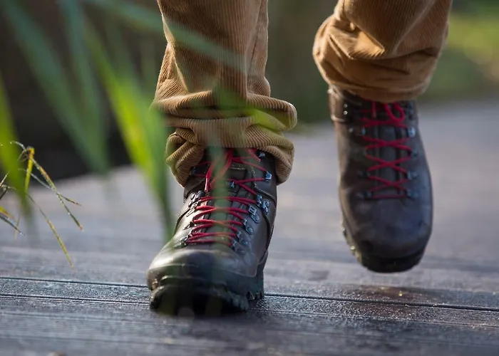 Spreewaldferienhaus - Urlaub