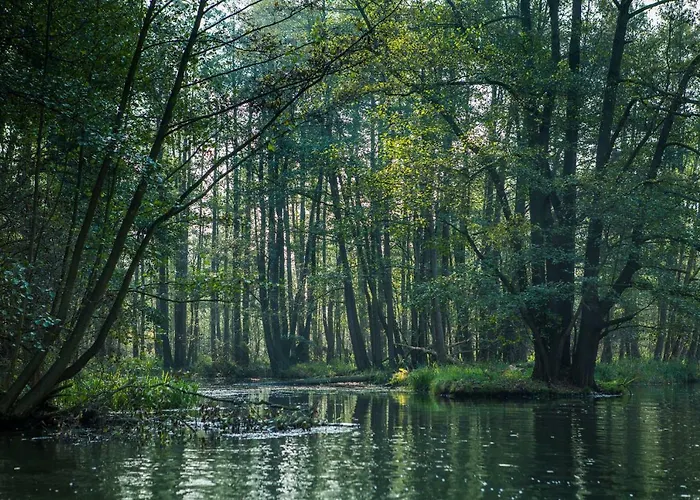 Spreewaldferienhaus - Urlaub Appartamento *